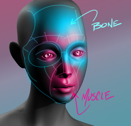 Maya 2016 Female Head Modeling Tutorial Method J